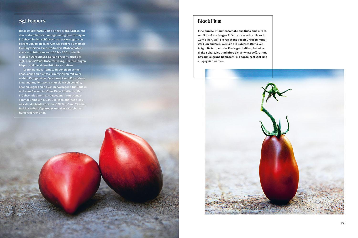 Bild: 9783440179895 | Verrückt nach Tomaten | Johnna Gilljam | Buch | 192 S. | Deutsch