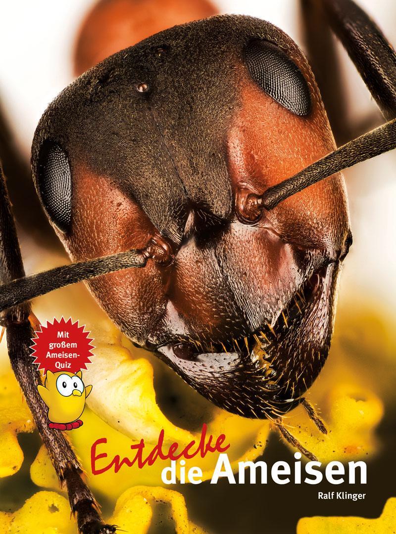 Cover: 9783866594203 | Entdecke die Ameisen | Ralf Klinger | Buch | 64 S. | Deutsch | 2021