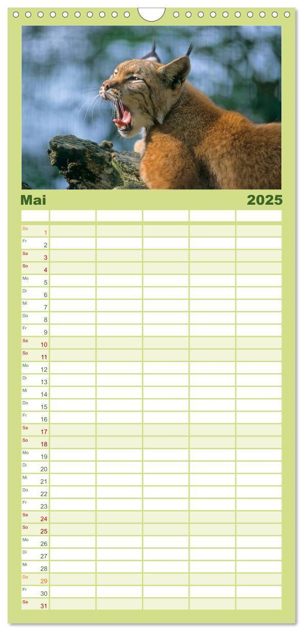 Bild: 9783457117606 | Familienplaner 2025 - Tiere des Waldes mit 5 Spalten (Wandkalender,...