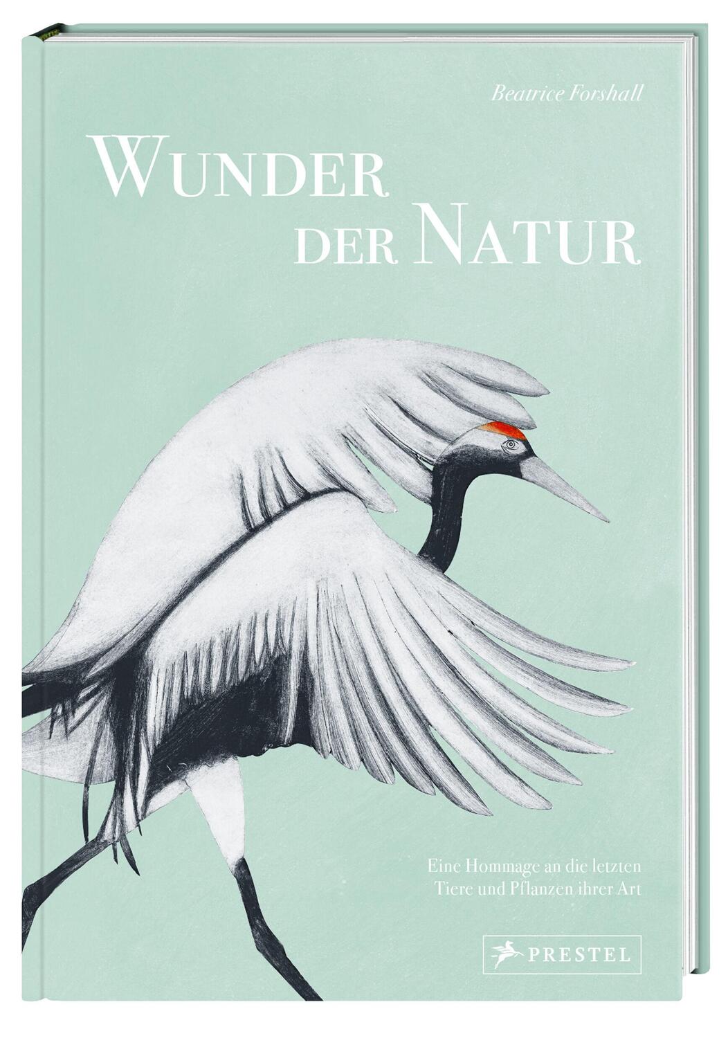 Bild: 9783791389462 | Wunder der Natur | Beatrice Forshall | Buch | 256 S. | Deutsch | 2023