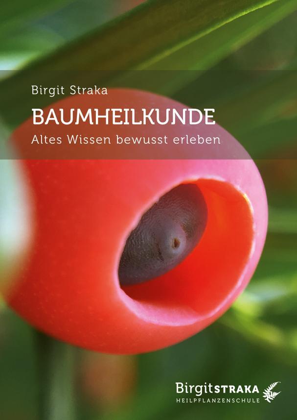Cover: 9783907246658 | Baumheilkunde | Altes Wissen bewusst erleben | Birgit Straka | Buch