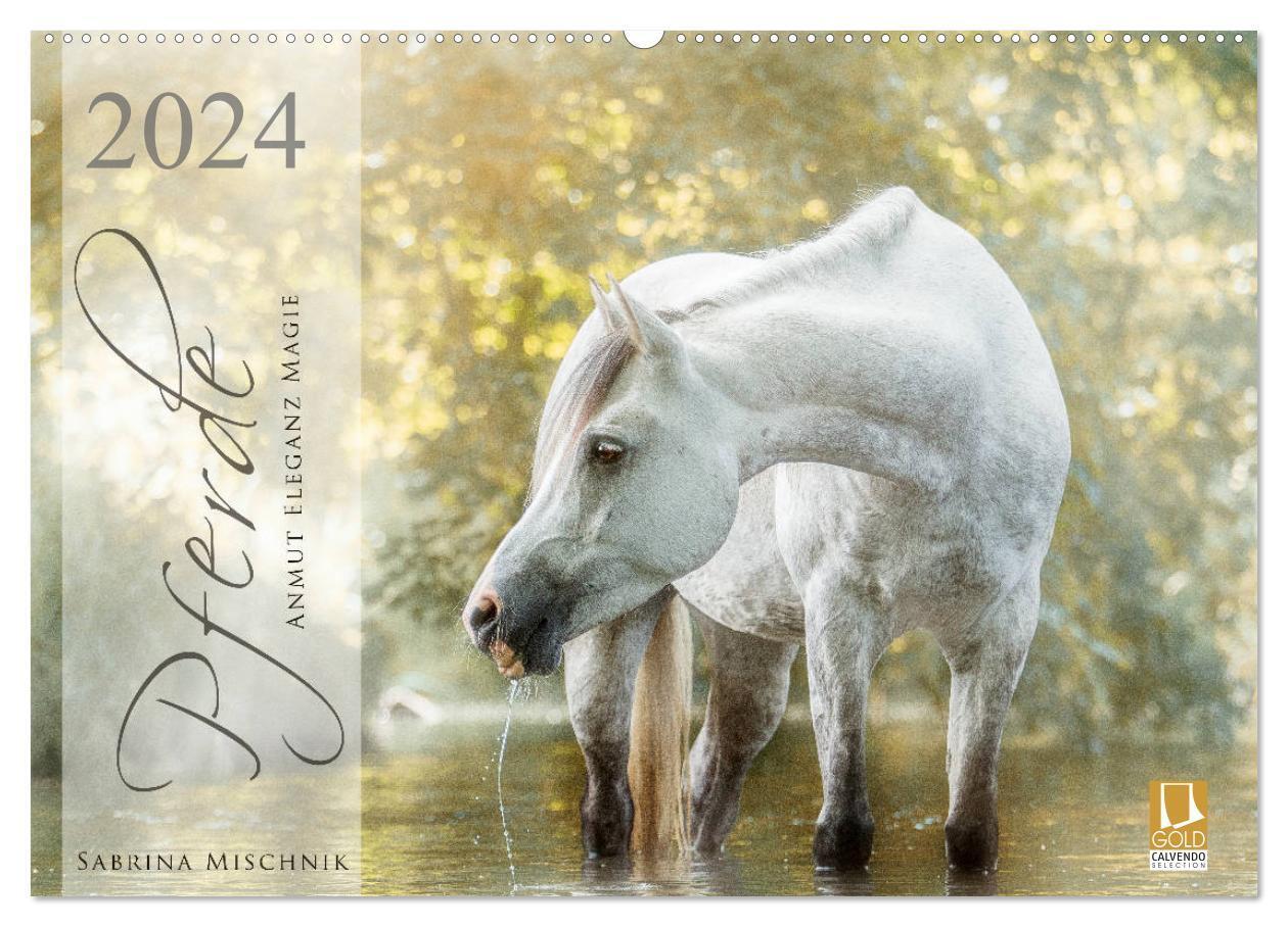 Cover: 9783675690684 | Pferde - Anmut, Eleganz, Magie (Wandkalender 2024 DIN A2 quer),...