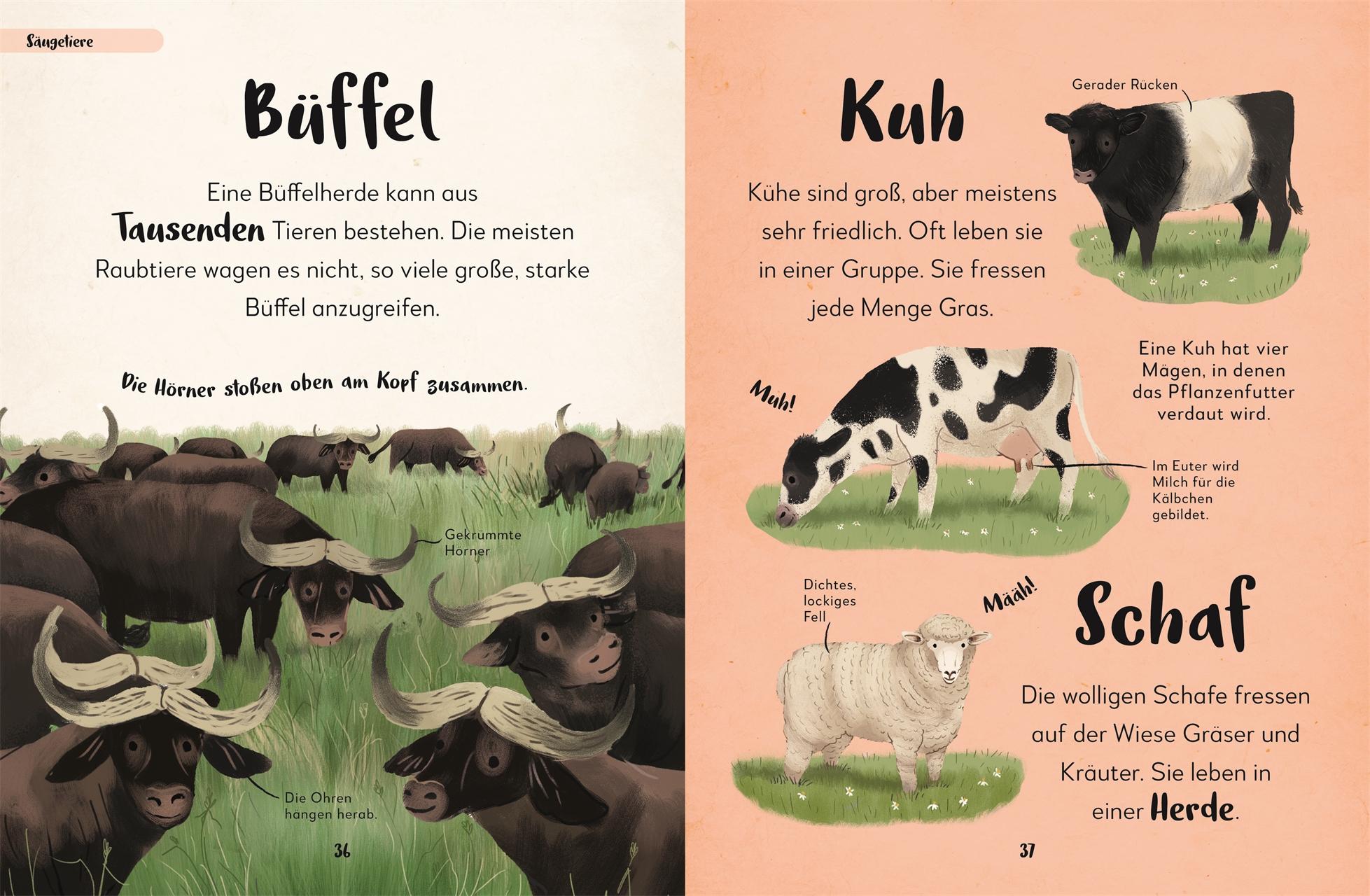 Bild: 9783831045655 | Mein liebstes Buch der Tiere | DK Verlag - Kids | Buch | 144 S. | 2025