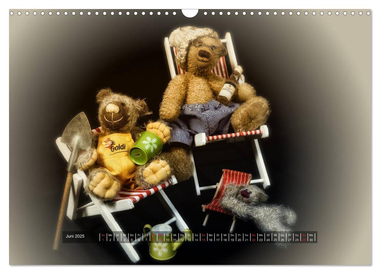 Bild: 9783435627233 | Die Teddys sind los (Wandkalender 2025 DIN A3 quer), CALVENDO...