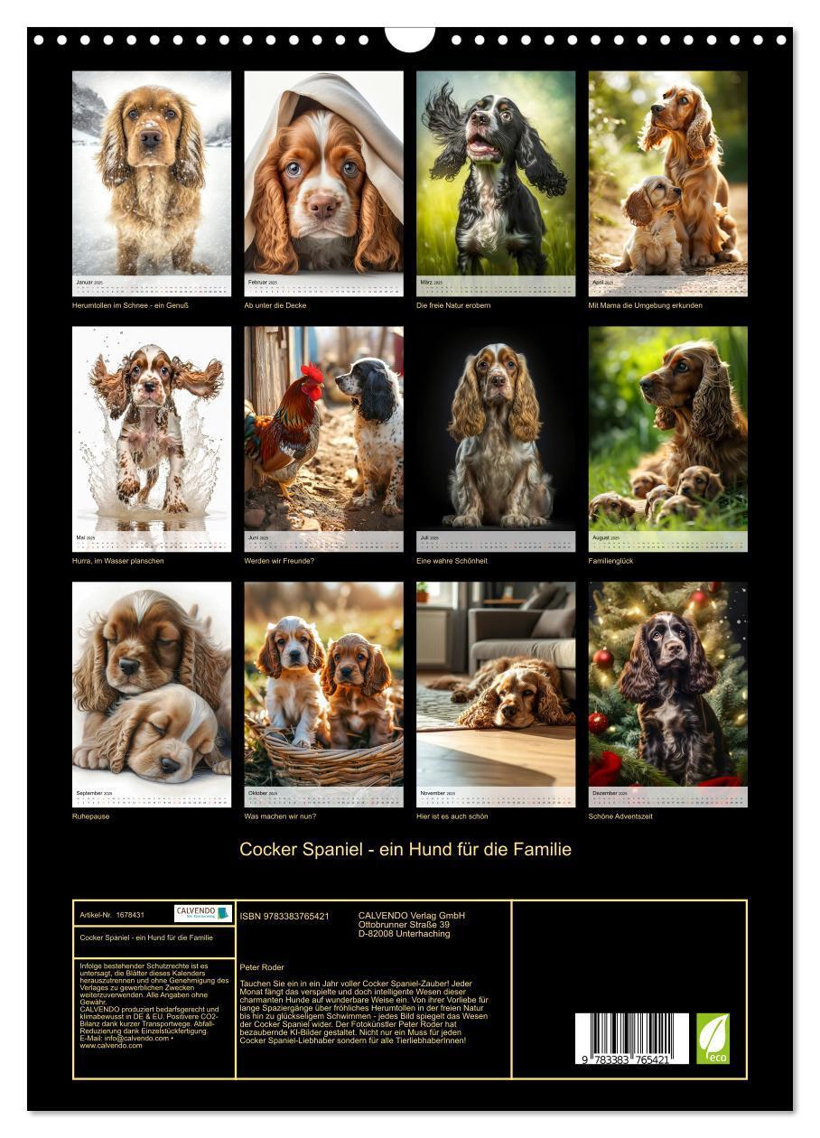 Bild: 9783383765421 | Cocker Spaniel - ein Hund für die Familie (Wandkalender 2025 DIN A3...