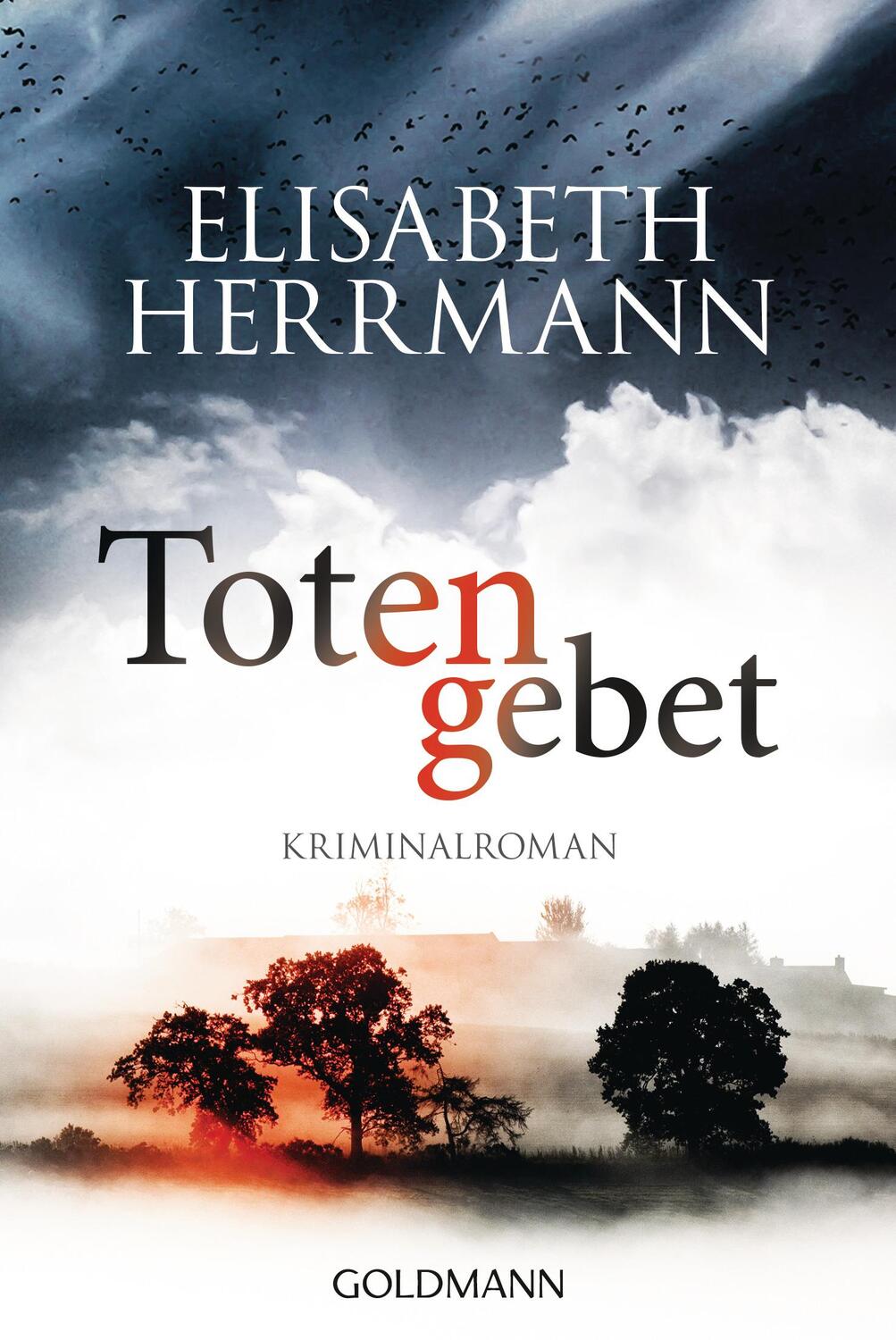 Cover: 9783442482498 | Totengebet | Joachim Vernau 5 - Kriminalroman | Elisabeth Herrmann