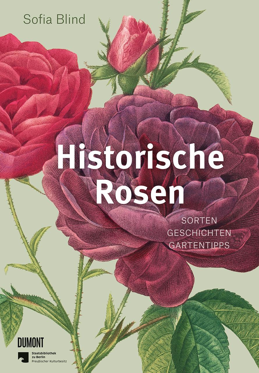 Cover: 9783832169268 | Historische Rosen | Sorten - Geschichten - Gartentipps | Sofia Blind