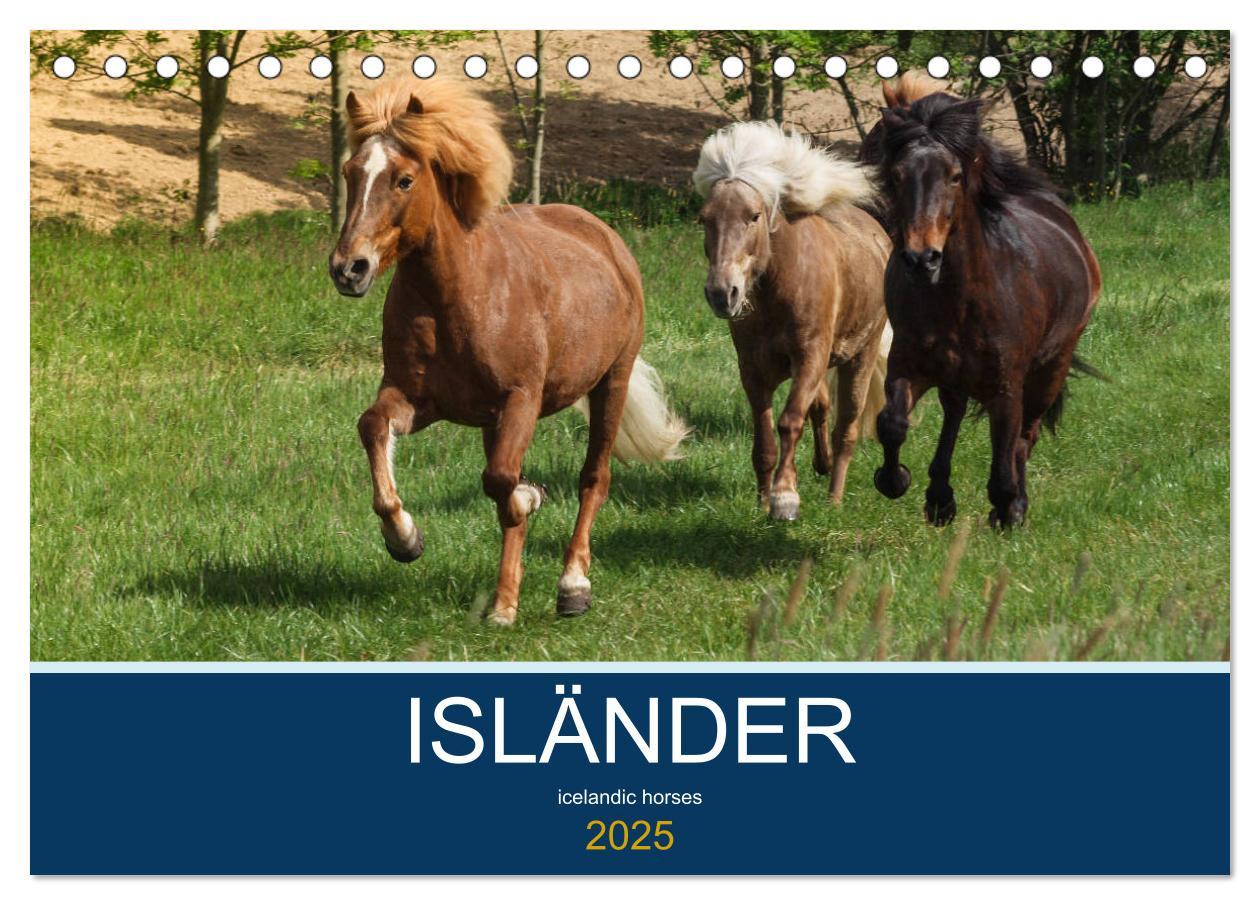 Cover: 9783435394975 | Isländer - icelandic horses (Tischkalender 2025 DIN A5 quer),...