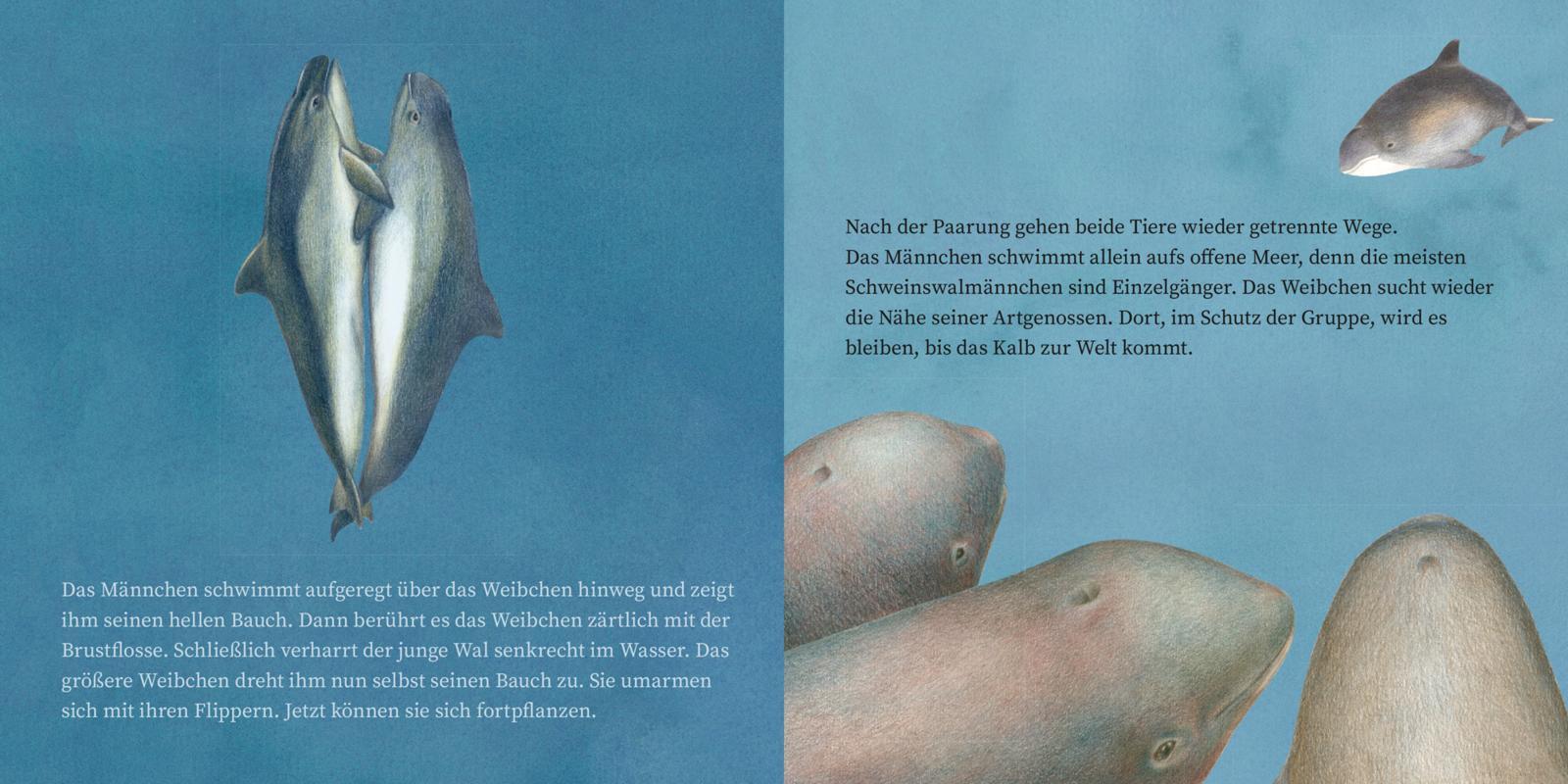 Bild: 9783551083159 | LESEMAUS 135: Der kleine Wal und das Meer | Claudia H.M. Hangen | Buch