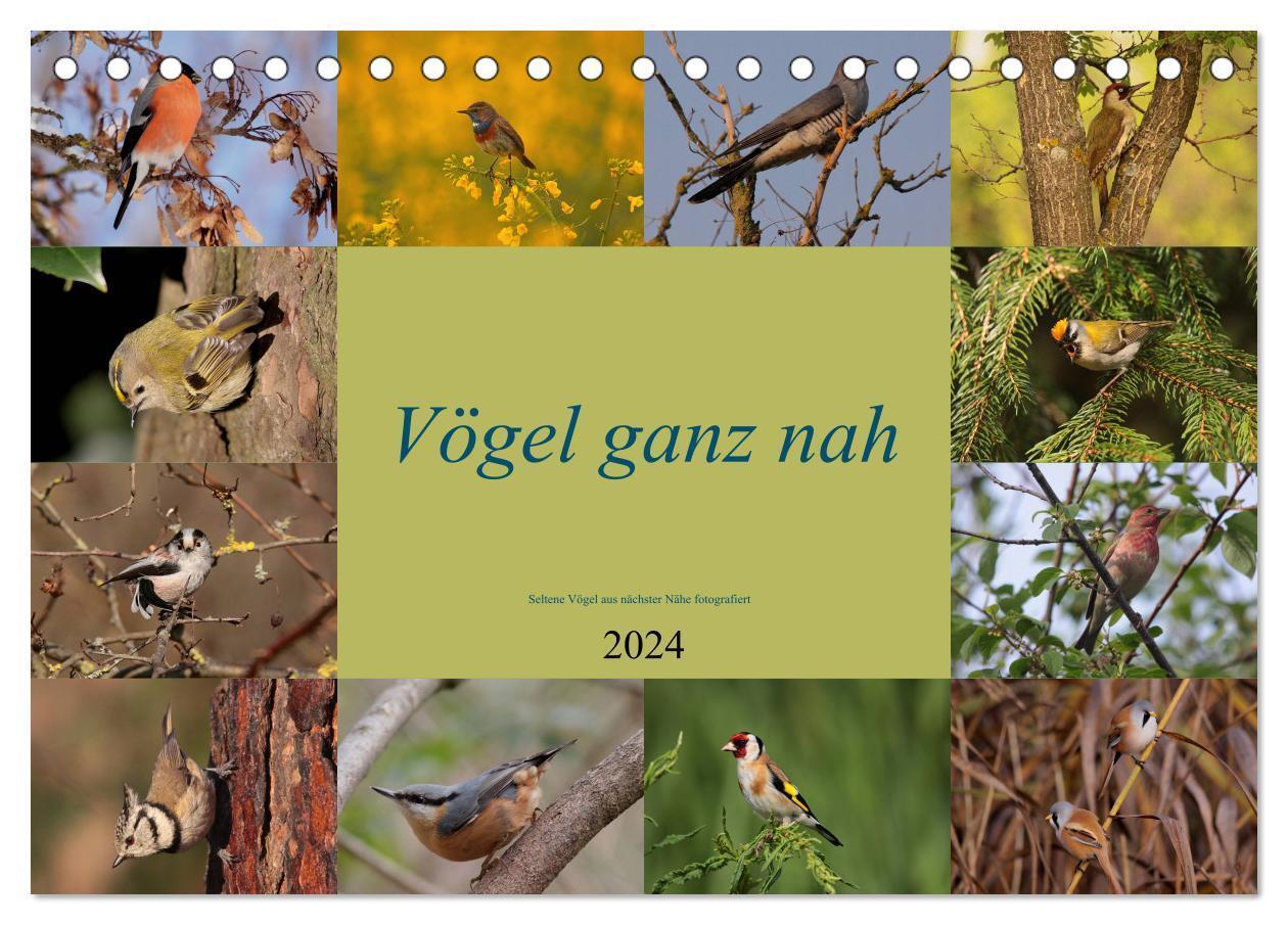 Cover: 9783383504143 | Vögel ganz nah (Tischkalender 2024 DIN A5 quer), CALVENDO...