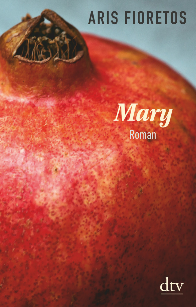 Cover: 9783423146869 | Mary | Roman | Aris Fioretos | Taschenbuch | 352 S. | Deutsch | 2019