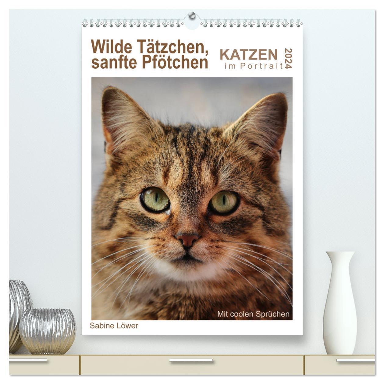 Cover: 9783383017179 | Wilde Tätzchen, sanfte Pfötchen (hochwertiger Premium Wandkalender...