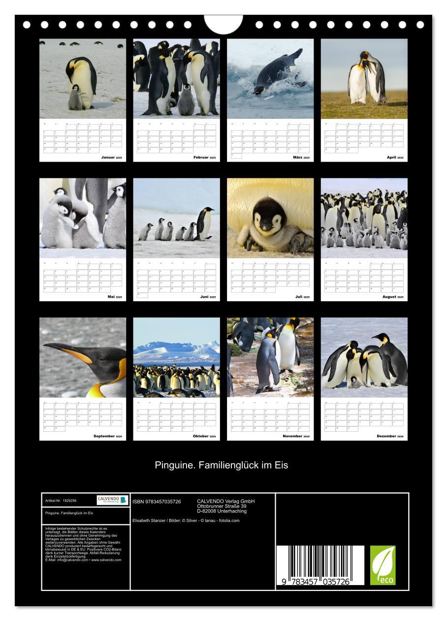 Bild: 9783457035726 | Pinguine. Familienglück im Eis (Wandkalender 2025 DIN A4 hoch),...