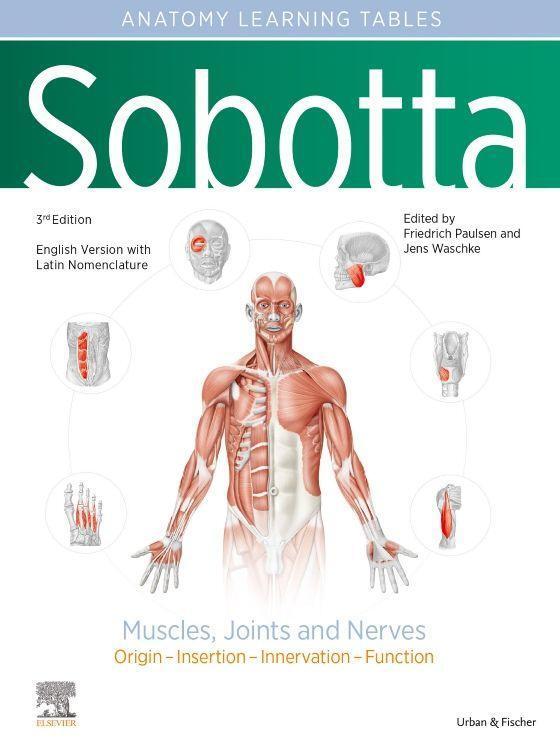 Cover: 9780702067686 | Sobotta Learning Tables of Muscles, Joints and Nerves, English/Latin