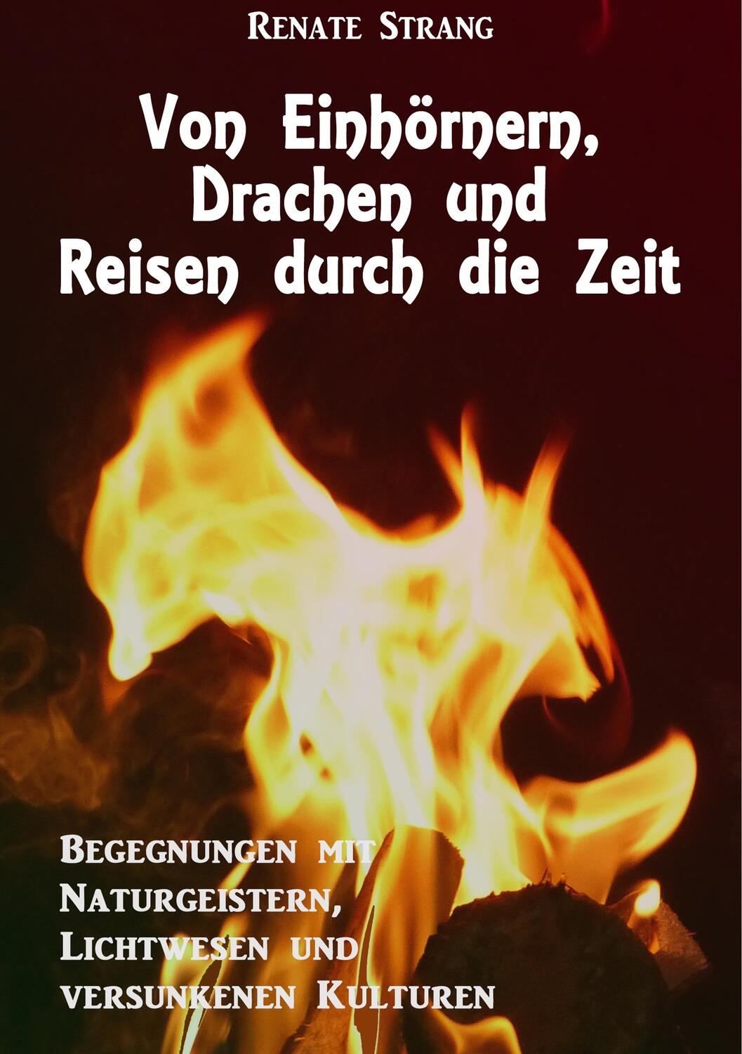 Cover: 9783748138532 | Von Einhörnern, Drachen und Reisen durch die Zeit | Renate Strang