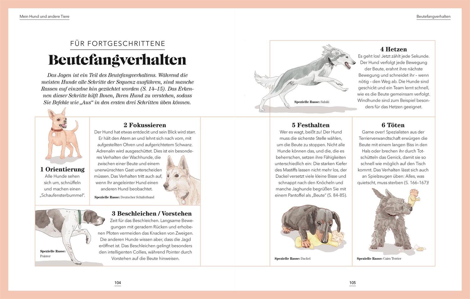 Bild: 9783831041855 | Das denkt dein Hund | Praktische Psychologie für Hundeversteher | Buch