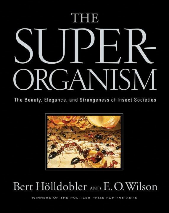 Cover: 9780393067040 | The Superorganism: The Beauty, Elegance, and Strangeness of Insect...