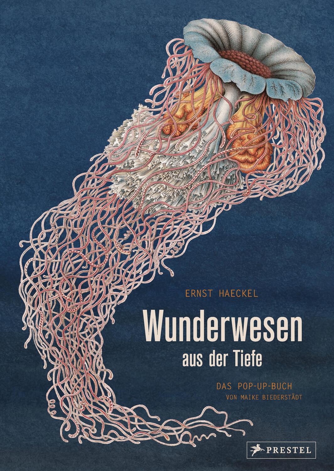 Cover: 9783791372327 | Wunderwesen aus der Tiefe. Ernst Haeckel | Das Pop-up-Buch | Buch