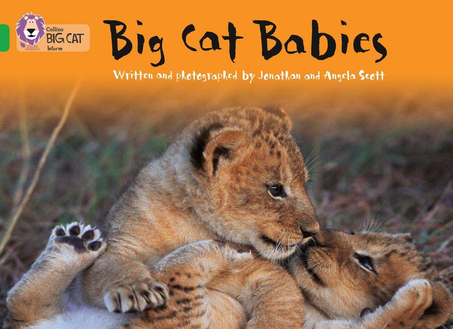 Cover: 9780007185948 | Big Cat Babies | Band 05/Green | Jonathan Scott (u. a.) | Taschenbuch