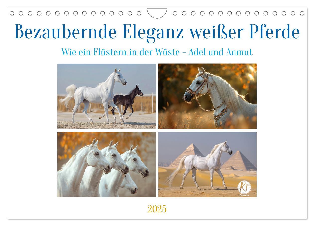 Cover: 9783435505746 | Bezaubernde Eleganz weißer Pferde (Wandkalender 2025 DIN A4 quer),...