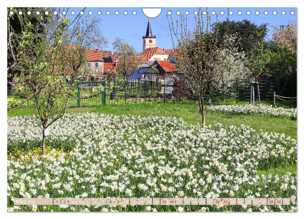 Bild: 9783383858710 | Ein Spaziergang durch Beelitz (Wandkalender 2025 DIN A4 quer),...