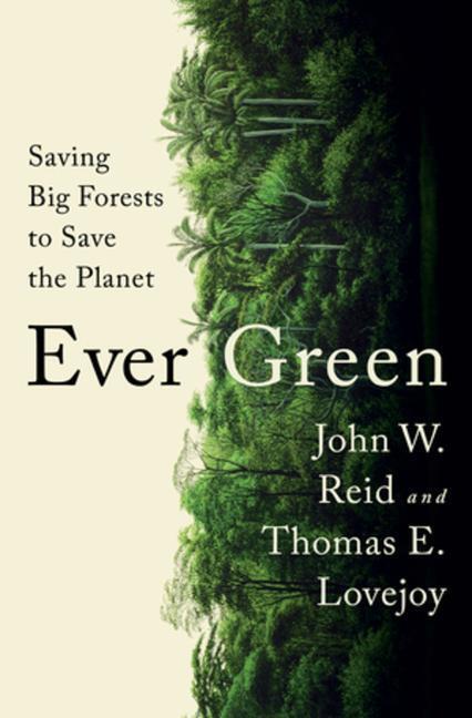Cover: 9781324006039 | Ever Green: Saving Big Forests to Save the Planet | Reid (u. a.)