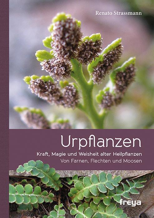 Cover: 9783990250914 | Urpflanzen | Kraft und Magie alter Heilpflanzen | Renato Strassmann