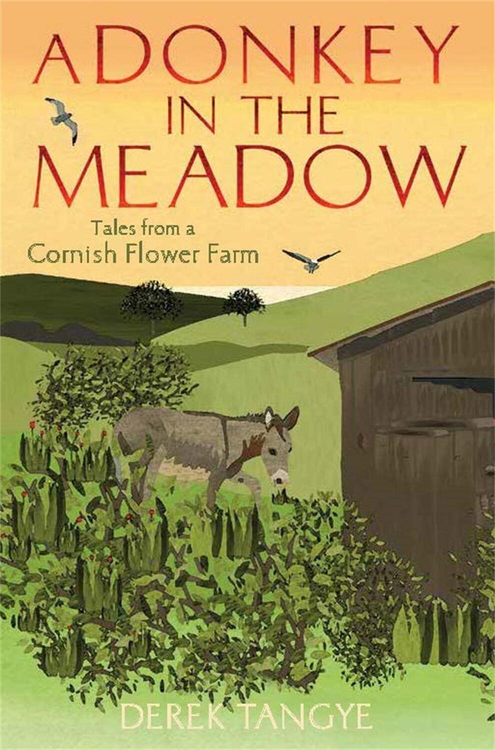 Cover: 9781472109934 | A Donkey in the Meadow | Tales from a Cornish Flower Farm | Tangye