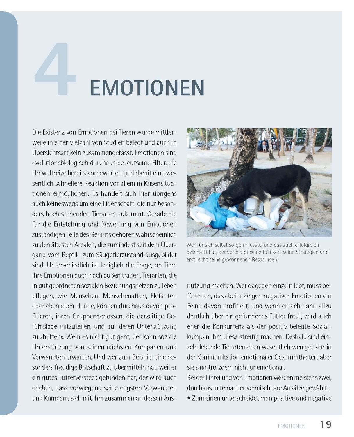 Bild: 9783275023097 | Mein Hund hat Angst | Petra Krivy (u. a.) | Taschenbuch | 160 S.