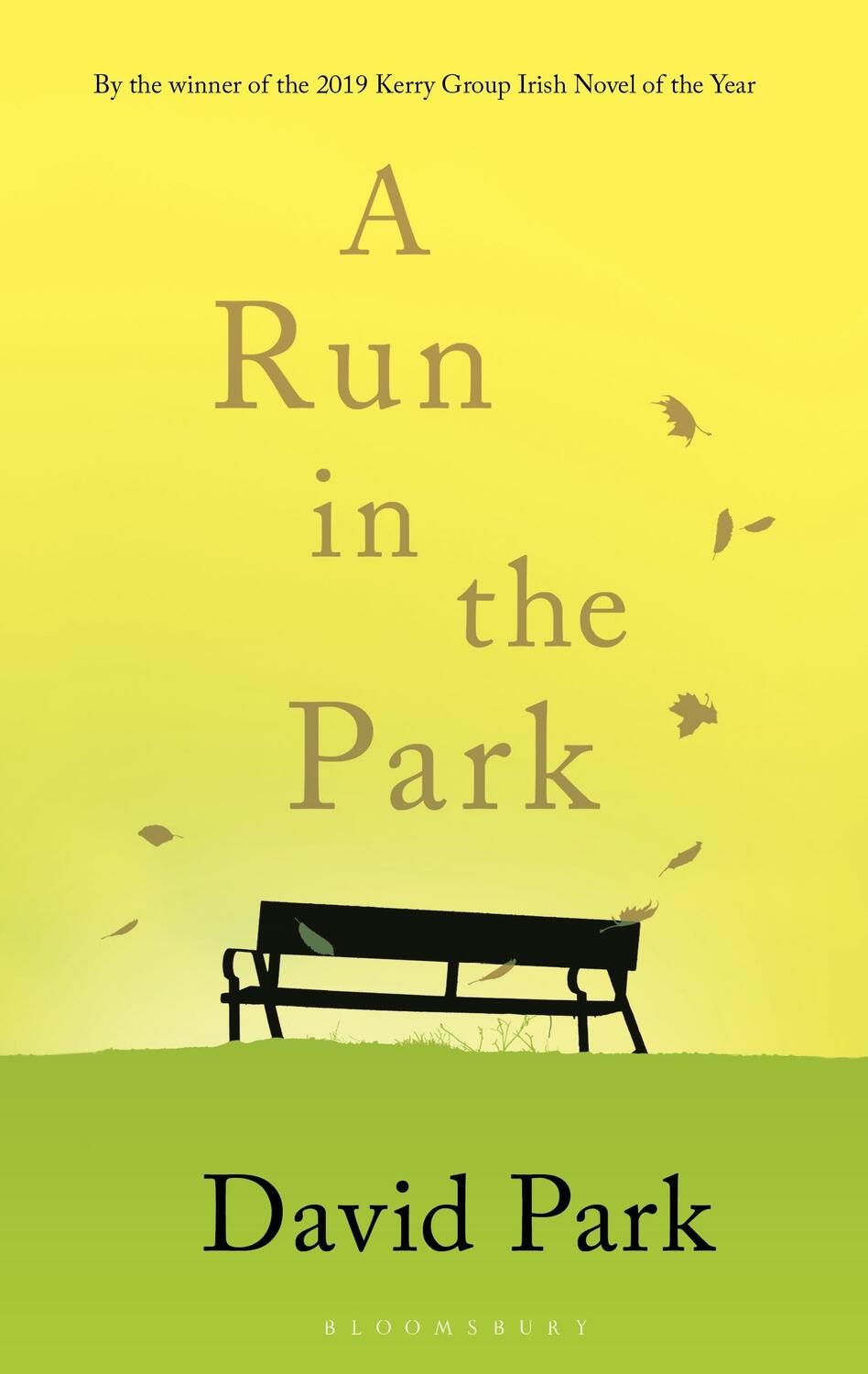 Cover: 9781526619976 | A Run in the Park | David Park | Buch | Gebunden | Englisch | 2019