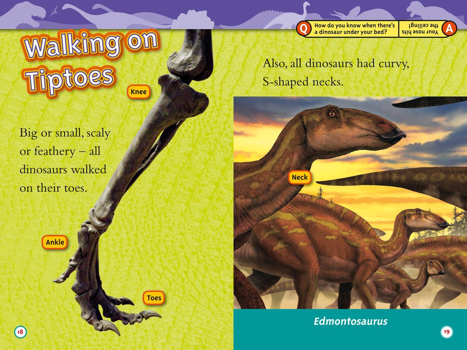 Bild: 9780008317195 | Dinosaurs | Level 2 | Kathy Weidner Zoehfeld (u. a.) | Taschenbuch