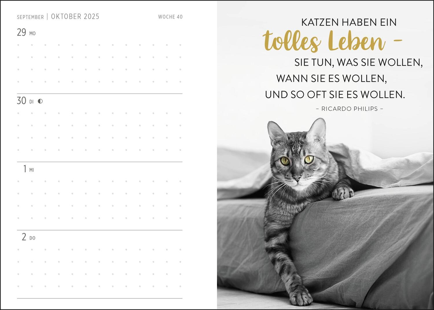 Bild: 4036442011959 | Buchkalender 2025: Für Katzenfreunde | Groh Verlag | Kalender | 144 S.