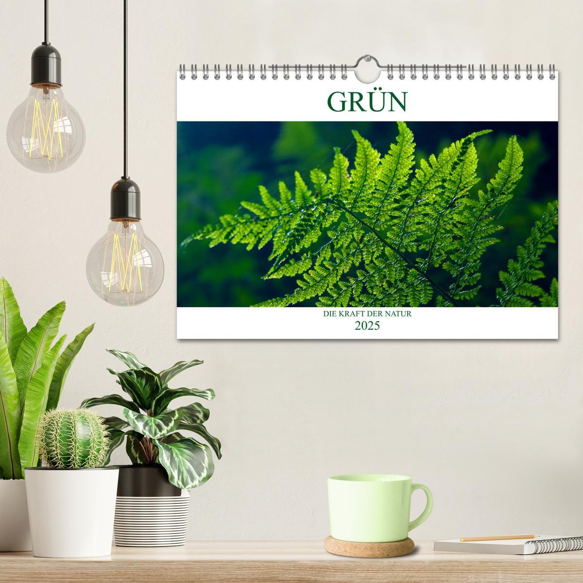 Bild: 9783435451418 | GRÜN . Die Kraft der Natur (Wandkalender 2025 DIN A4 quer),...