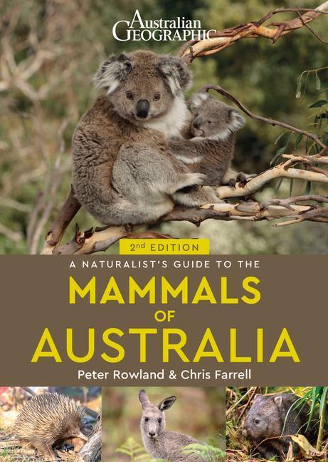Cover: 9781913679071 | A Naturalist's Guide to the Mammals of Australia (2nd ed) | Buch