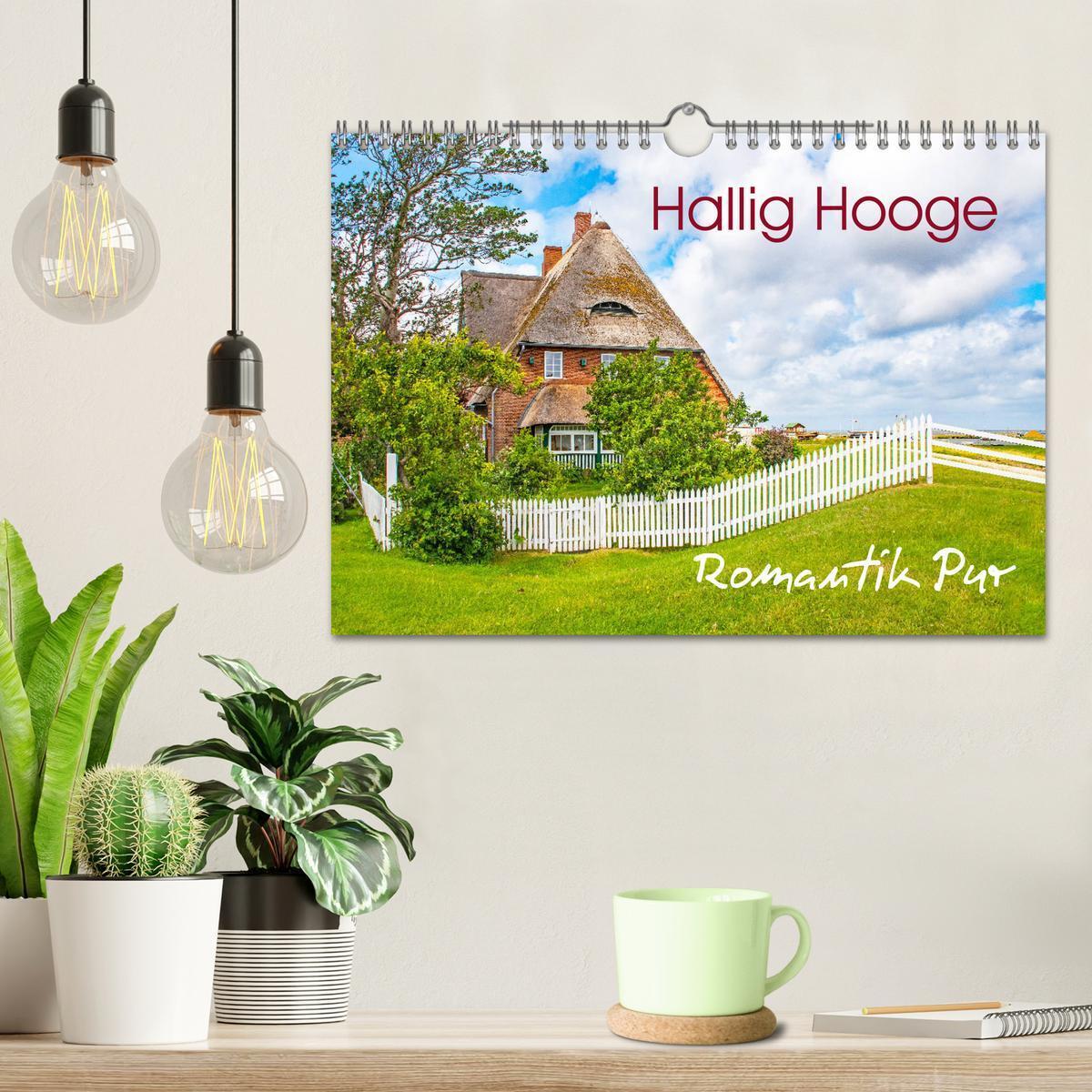 Bild: 9783435115648 | Hallig Hooge - Romantik Pur (Wandkalender 2025 DIN A4 quer),...