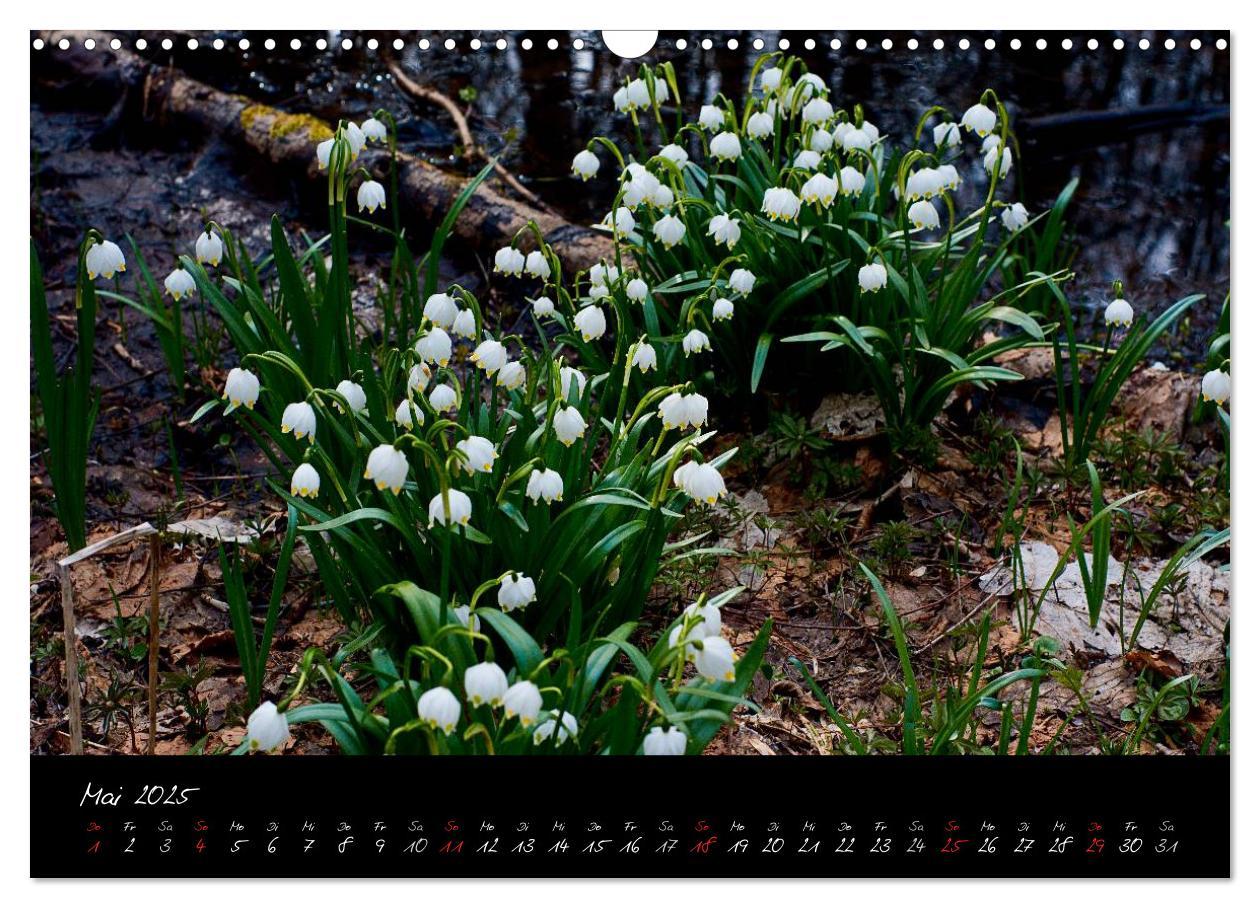 Bild: 9783435778843 | RHÖN = SCHÖN (Wandkalender 2025 DIN A3 quer), CALVENDO Monatskalender