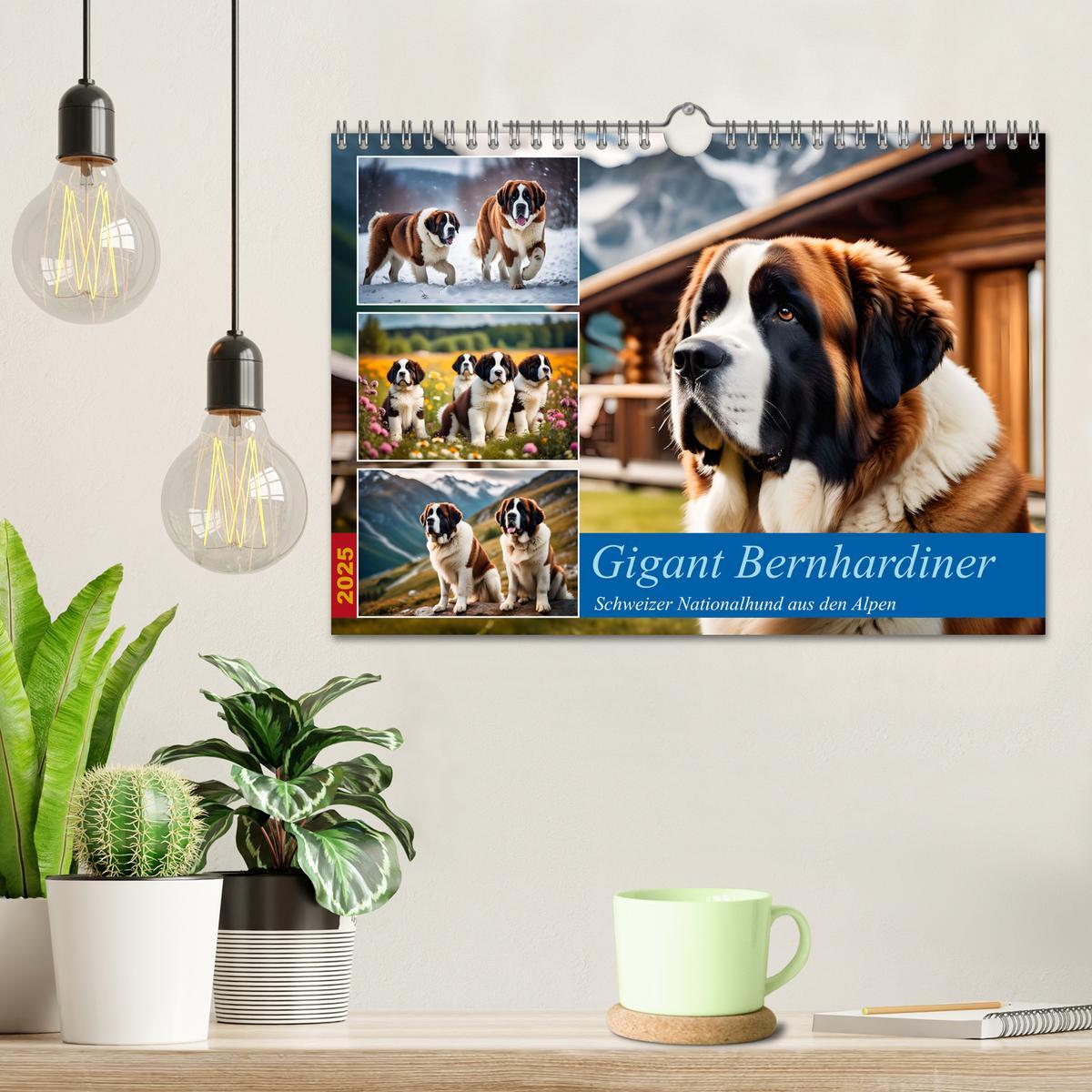 Bild: 9783457220511 | Gigant Bernhardiner (Wandkalender 2025 DIN A4 quer), CALVENDO...