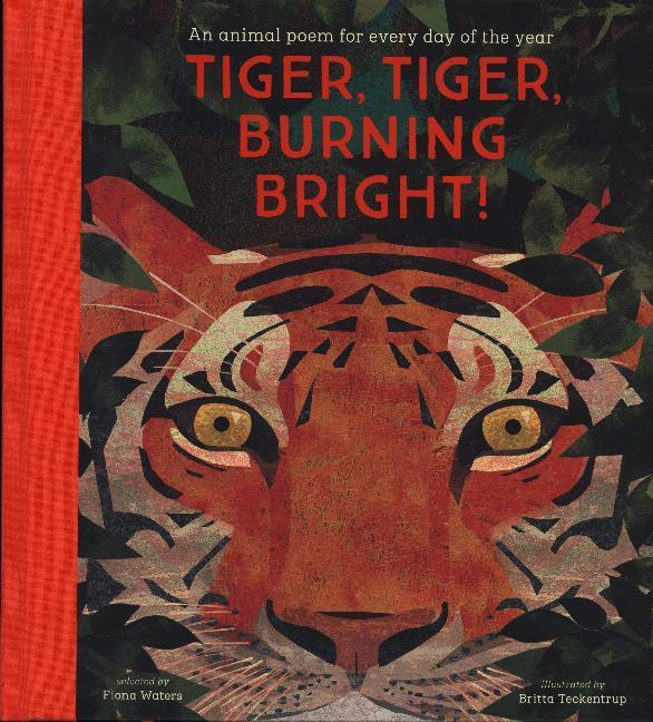 Cover: 9781788005678 | Tiger, Tiger, Burning Bright | Fiona Waters | Buch | Gebunden | 2020