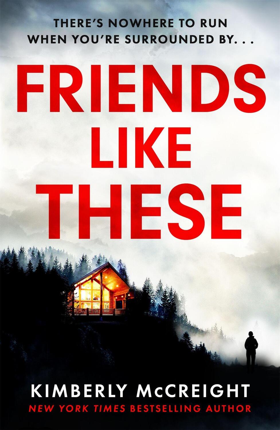 Cover: 9781472292957 | Friends Like These | How well do you really know your friends? | Buch