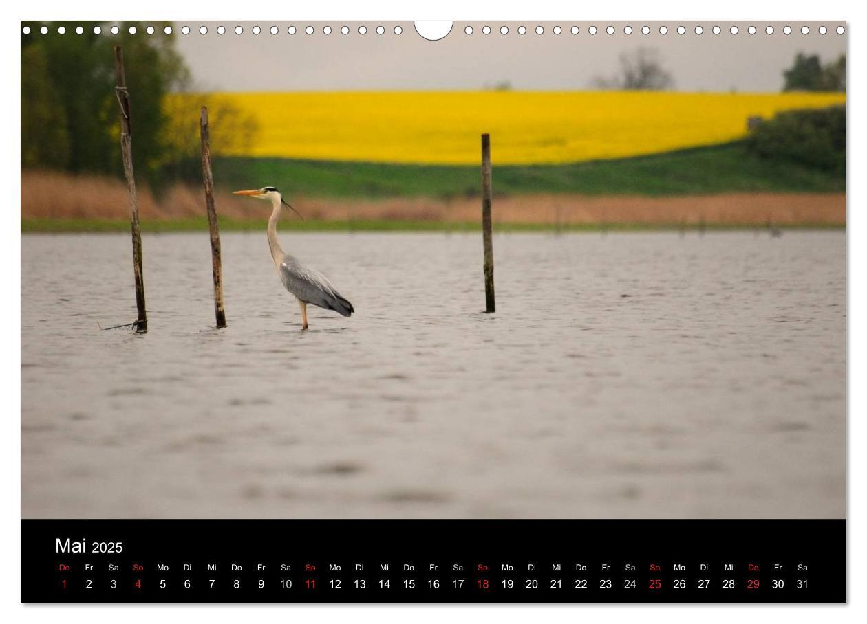 Bild: 9783435641192 | Wasserwandern in Mecklenburg-Vorpommern (Wandkalender 2025 DIN A3...