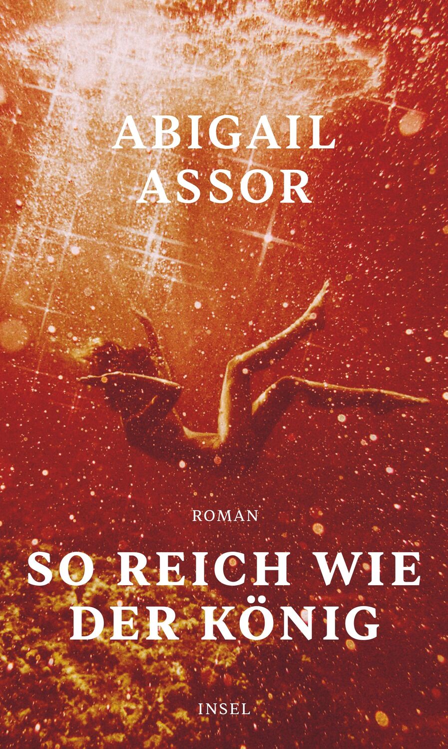 Cover: 9783458642848 | So reich wie der König | Roman | Abigail Assor | Buch | 224 S. | 2022