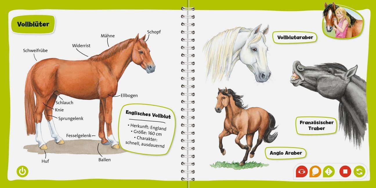 Bild: 9783473554089 | tiptoi® Pferde und Ponys; . | Yvonne Follert | Taschenbuch | 16 S.