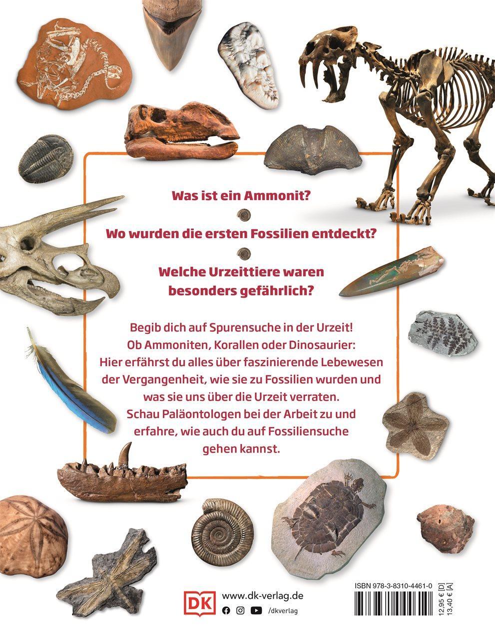 Rückseite: 9783831044610 | Fossilien | Entdecke die Schätze der Urzeit | Dean Lomax | Buch | 2022