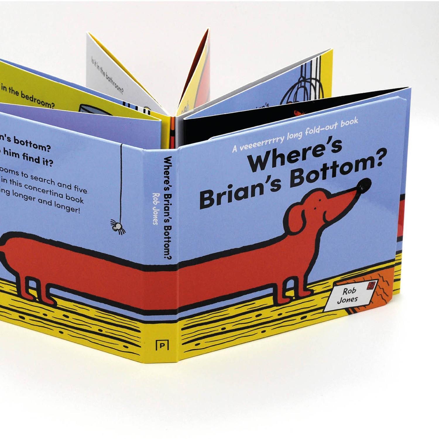 Bild: 9781843654667 | Where's Brian's Bottom? | Rob Jones | Buch | Papp-Bilderbuch | 2021