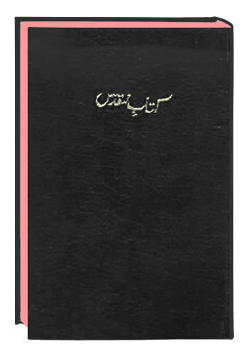 Cover: 9783438081834 | The Holy Bible Urdu | Old Version - Traditionelle Übersetzung | Buch
