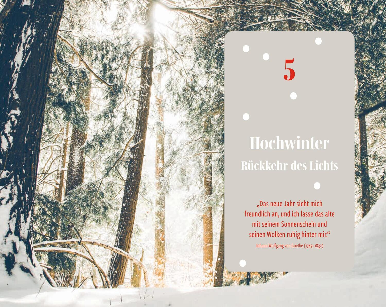 Bild: 9783702510916 | Lieber Winter! | Franziska Lipp | Buch | 200 S. | Deutsch | 2023
