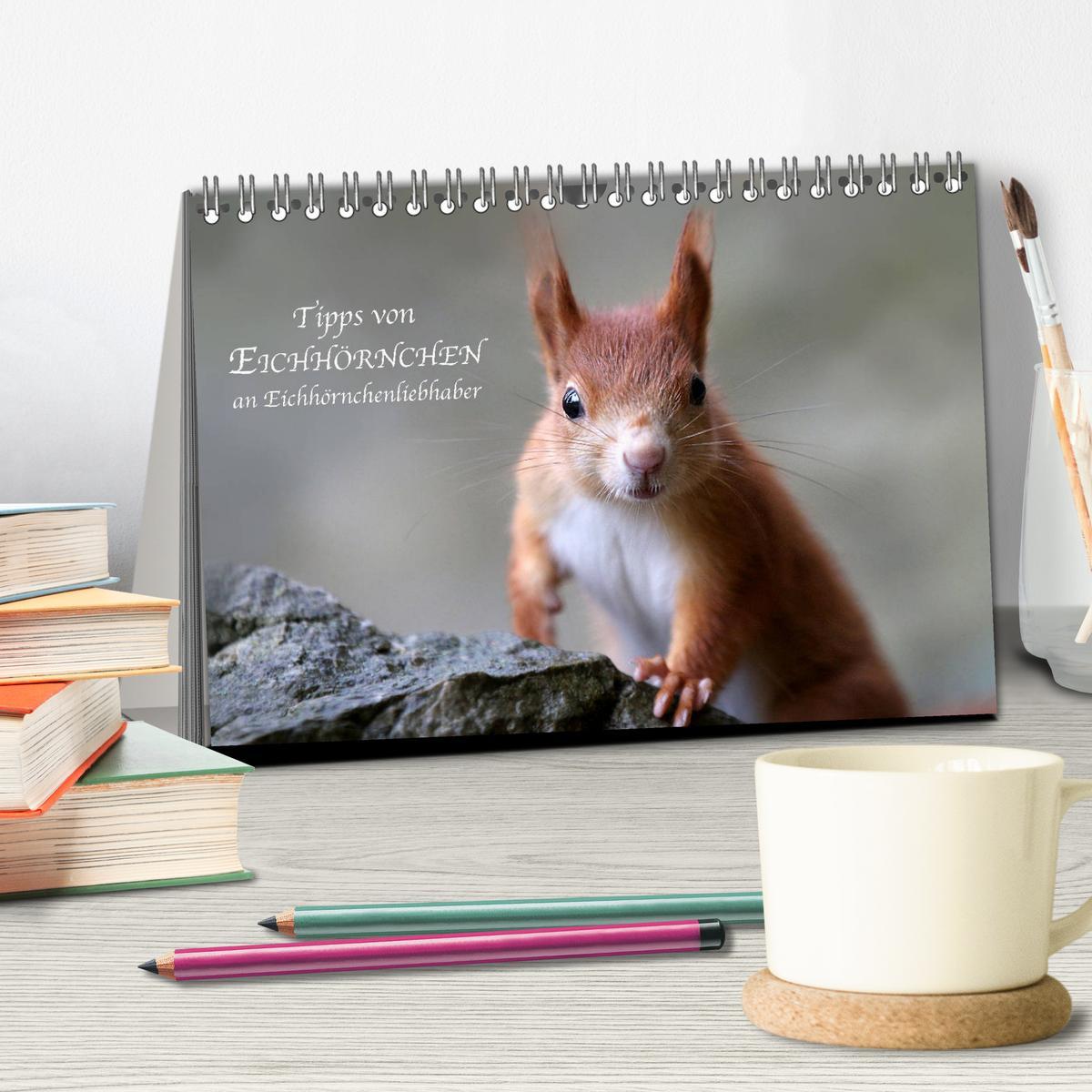 Bild: 9783435445943 | Tipps von Eichhörnchen an Eichhörnchenliebhaber (Tischkalender 2025...