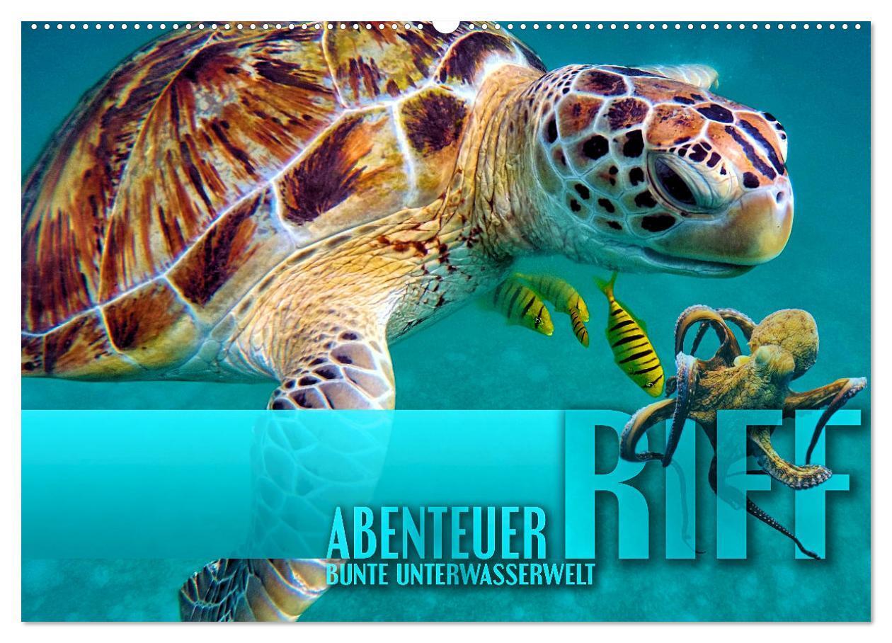 Cover: 9783675783362 | Abenteuer Riff - bunte Unterwasserwelt (Wandkalender 2024 DIN A2...