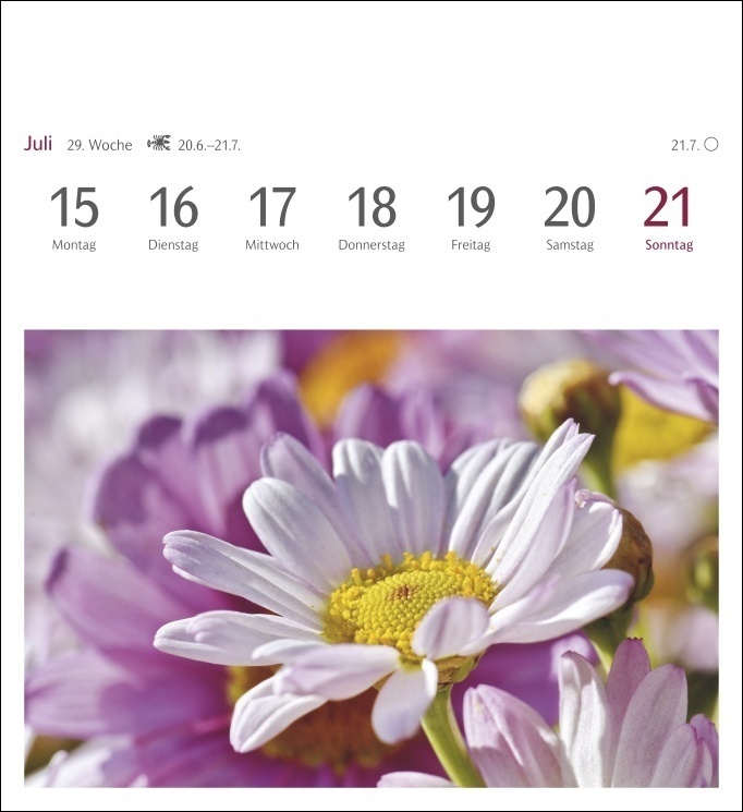 Bild: 9783840032301 | Blumenpracht Postkartenkalender 2024. Kalender mit 53 traumhaften...