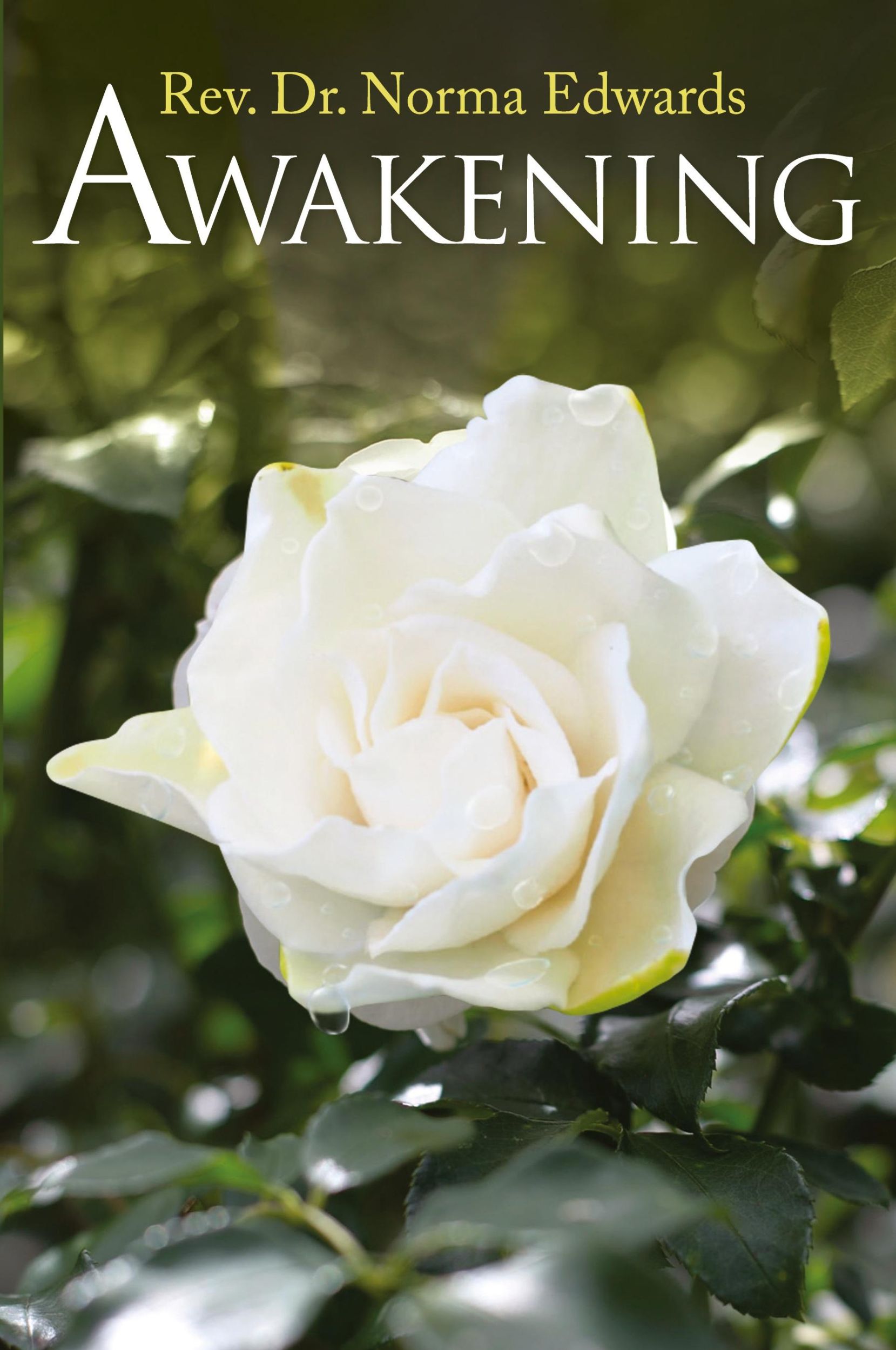 Cover: 9781955156561 | Awakening | Rev. Norma Edwards | Taschenbuch | Englisch | 2021